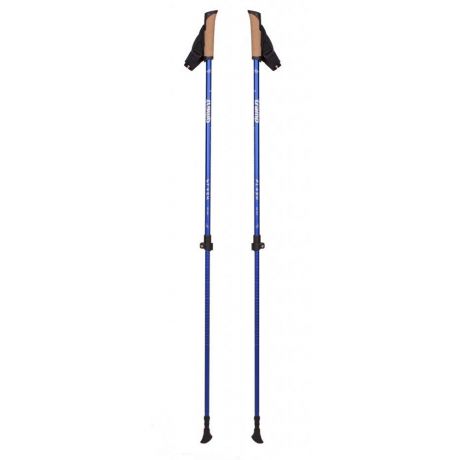 Палки для скандинавской ходьбы Tramp Flash TRR-010