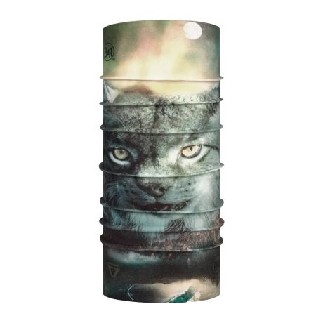 Головной убор Мультишарф Buff ThermoNet Evening Peak 127293.555