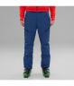 Штани The North Face Chakal Pant