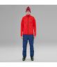 Штани The North Face Chakal Pant