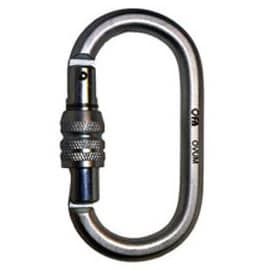First Ascent Ovum Keylock
