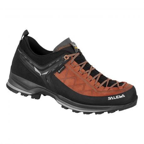 Кросівки Salewa MS MTN Trainer 2 GTX