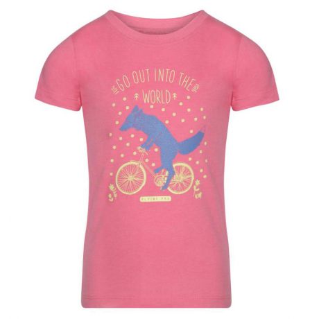 Футболка Alpine Pro Branto 3