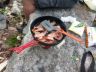 Primus Litech Frying Pan