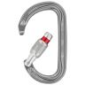 Petzl Am'D Screw Lock