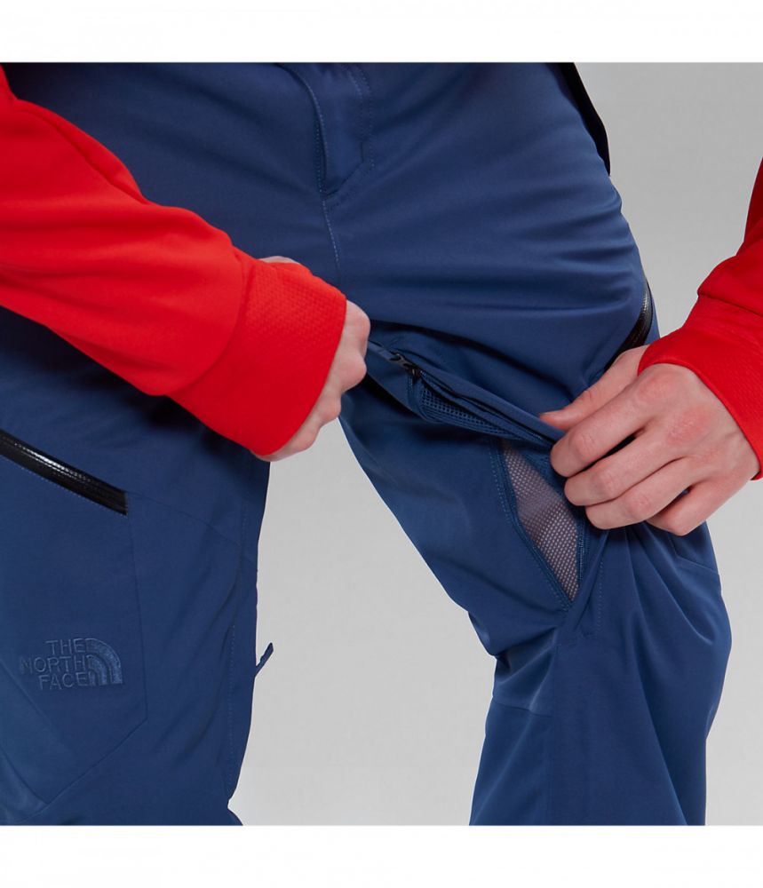 Штани The North Face Chakal Pant