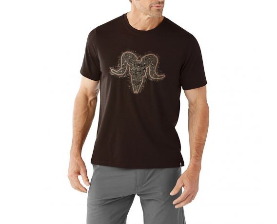 Футболка Smartwool Merino 150 Aires Tee