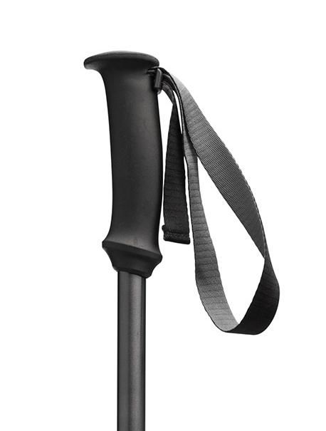 Треккинговые палки Black Diamond Trail Explorer 3