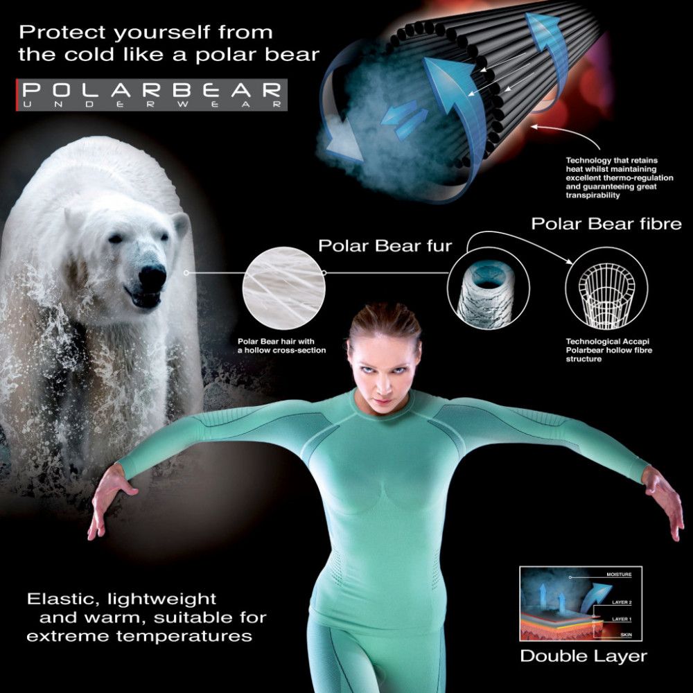 Термоштаны Accapi Polar Bear Long Trousers Man Anthracite