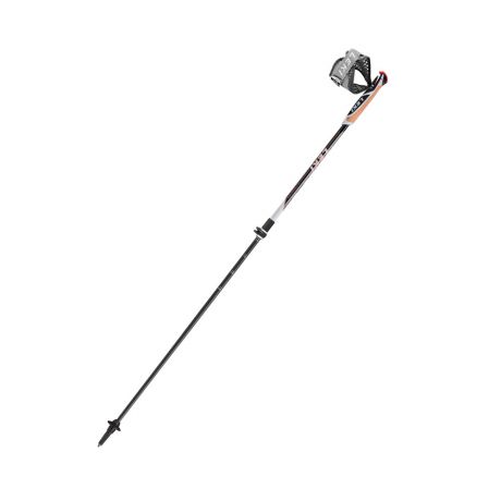 Палиці для скандинавської ходьби Leki Instructor Lite