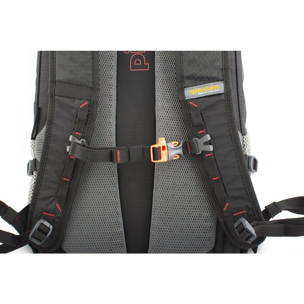 Рюкзак Pinguin Step 24