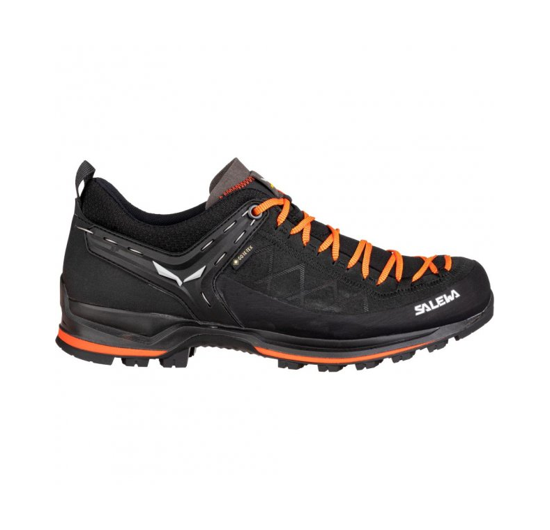 Кросівки Salewa MS MTN Trainer 2 GTX