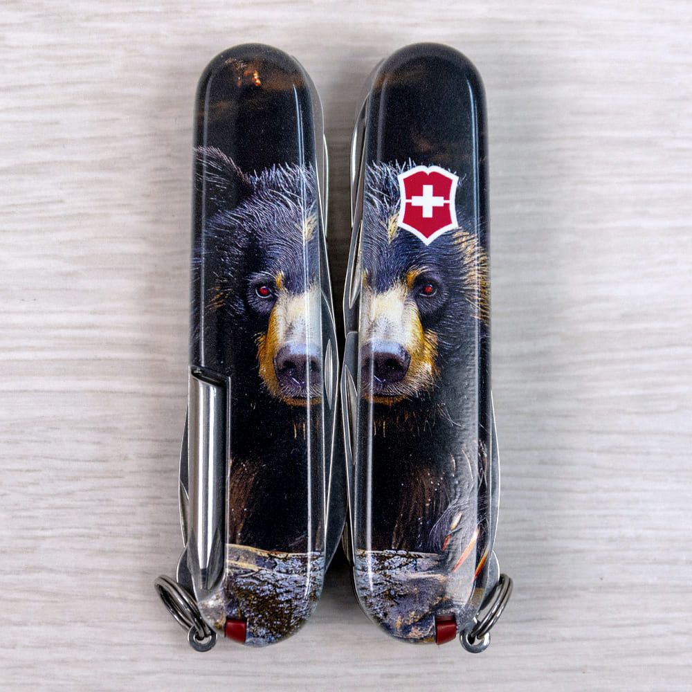 Ніж Victorinox Fieldmaster Animal Black Bear 1.4713.3_F1100pw