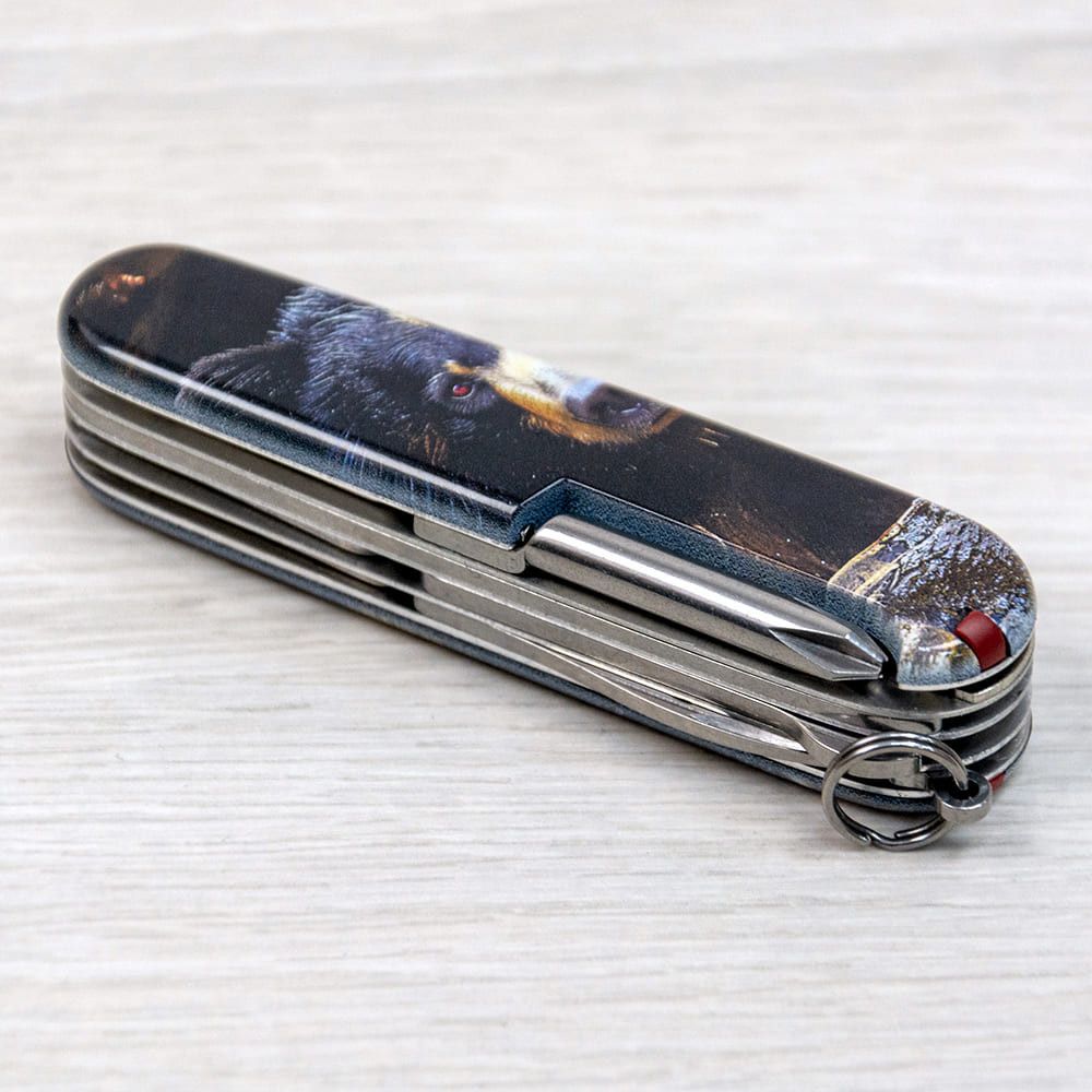 Ніж Victorinox Fieldmaster Animal Black Bear 1.4713.3_F1100pw