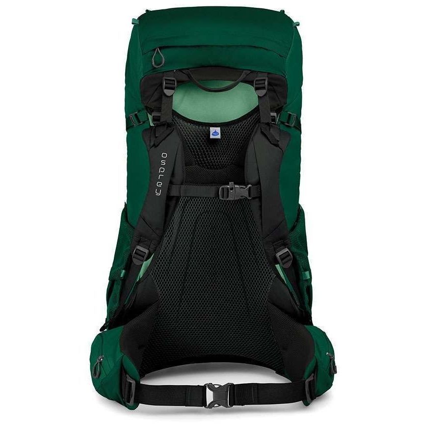 Рюкзак Osprey Rook 65 Mallard Green