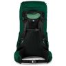 Рюкзак Osprey Rook 65 Mallard Green