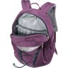 Рюкзак Deuter Gogo Plum-Ink